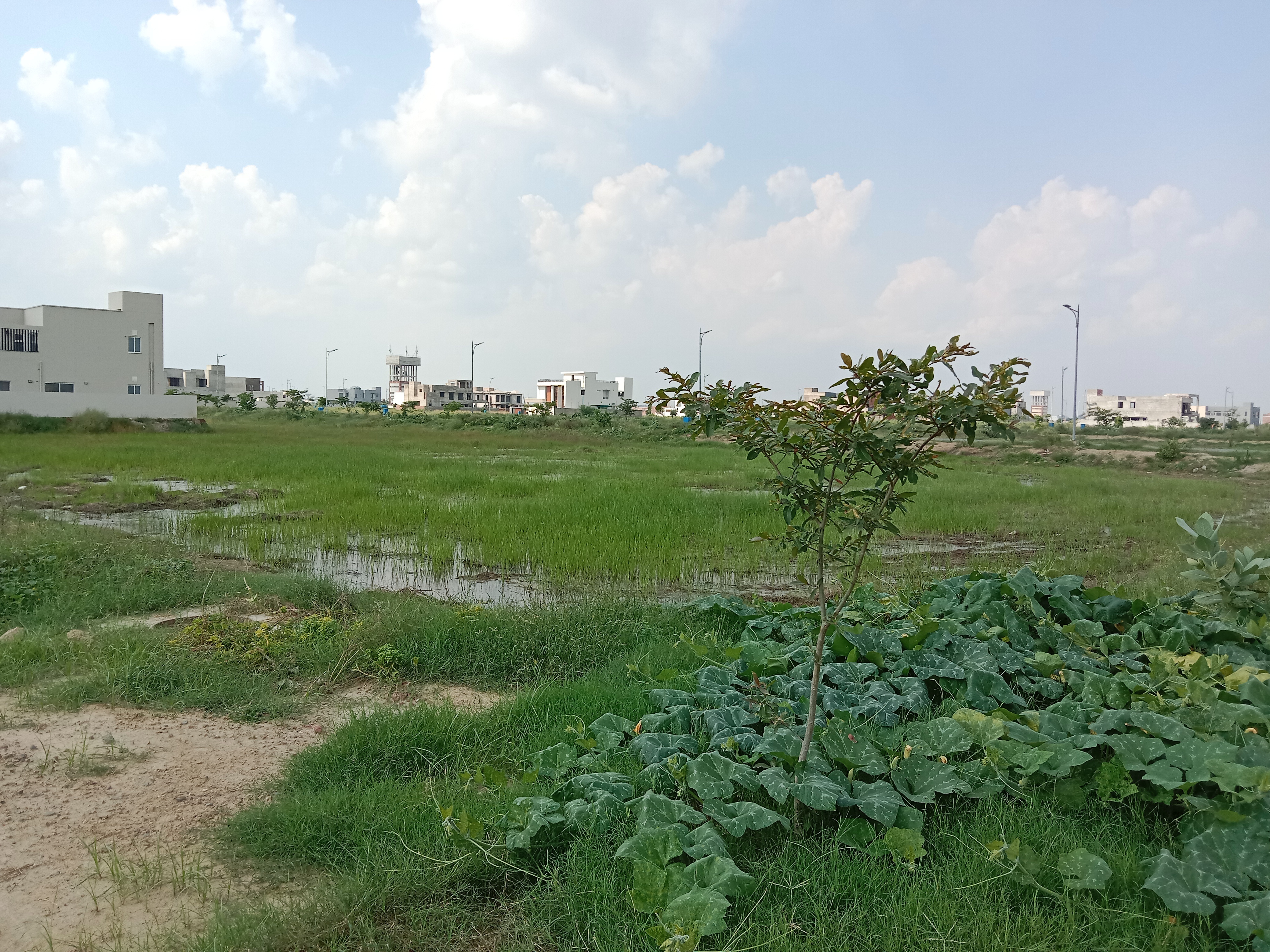 1 Kanal Plot For Sale In Phase DHA Lahore